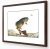 Image for The Angler Series - Brook Trout