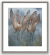 Image for The Dance - Sandhill Cranes