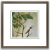 Image for Coming Soon...Male & Female Ruby-throated Hummingbird