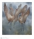 Image for The Dance - Sandhill Cranes